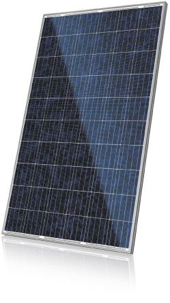 太陽光パネル　カナディアンソーラー製　CS6P-265P（265W）