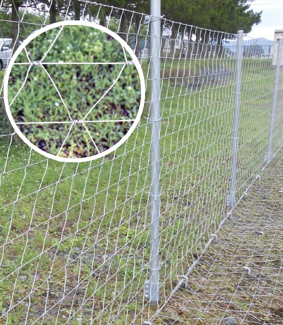 獣害防止柵　グラスダイヤモンドメッシュ